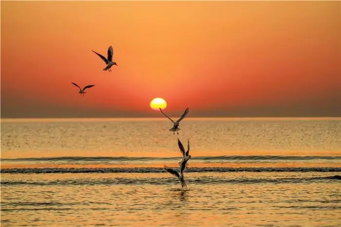 2021日照新青年音乐节演出阵容、门票信息、在线订票