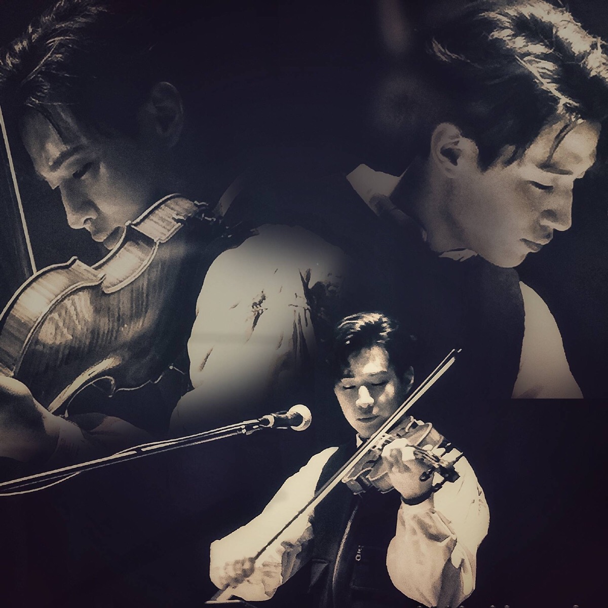 2023成都元气森林音乐节时间表+阵容介绍+购票方式