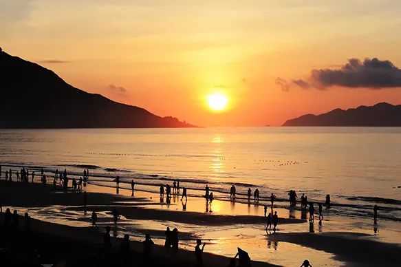 2021深圳科罗娜海滩生活节门票购买+阵容介绍 2021深圳科罗娜海滩生活节门票购买+阵容介绍