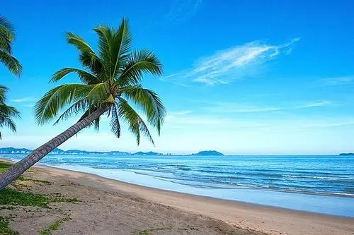 三亚迷笛音乐节时间安排及购票网址