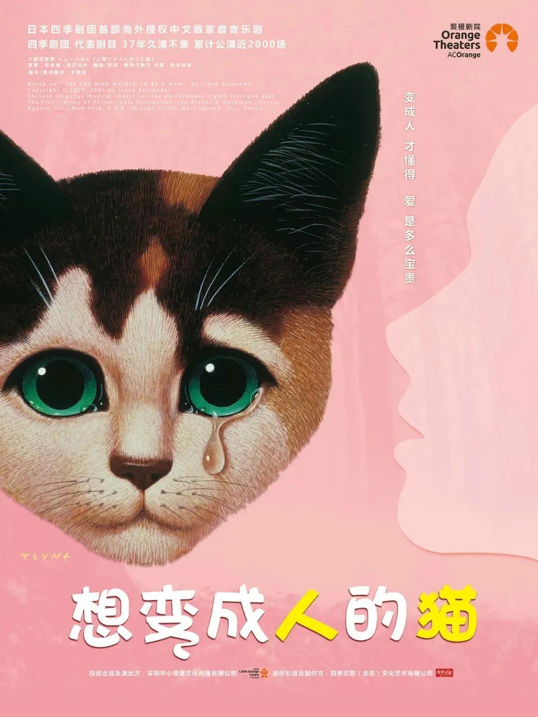 2022音乐剧《想变成人的猫》郑州站时间、地点、门票、剧目介绍