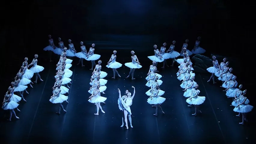 舞剧《天鹅湖》天津站时间、场馆、门票