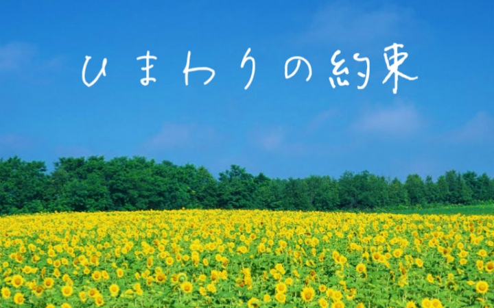 2021音乐会《向日葵的约定》广州站演出详情、门票信息 2021音乐会《向日葵的约定》广州站演出详情、门票信息