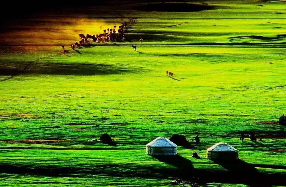 2021《歌从草原来》大连音乐会演出地点、订票方式