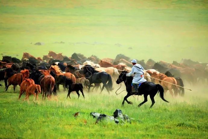 2021音乐会《歌从草原来》大连站时间+地点+门票