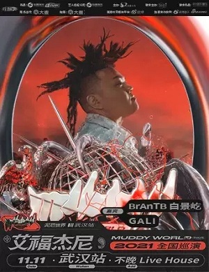 艾福杰尼武汉演唱会