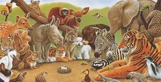 2021动物狂欢节·奇妙音乐会-厦门站