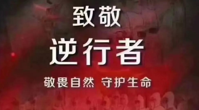 2021话剧《萤萤微光》上海站（时间+地点+门票）