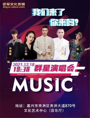 群星嘉兴演唱会