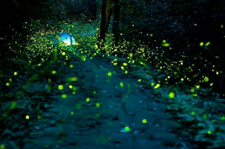 2021话剧《萤萤微光》上海站时间+地点+门票+演出详情