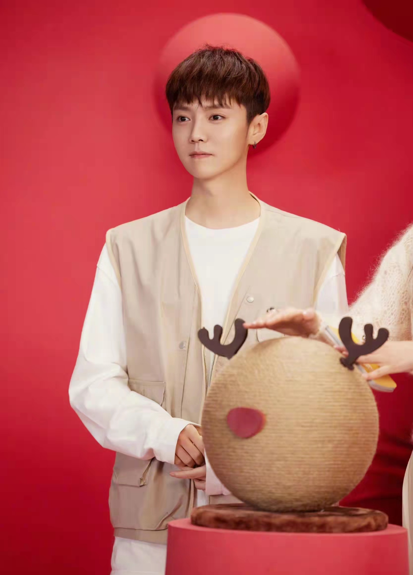 鹿晗的粉丝名为什么叫“芦苇”？