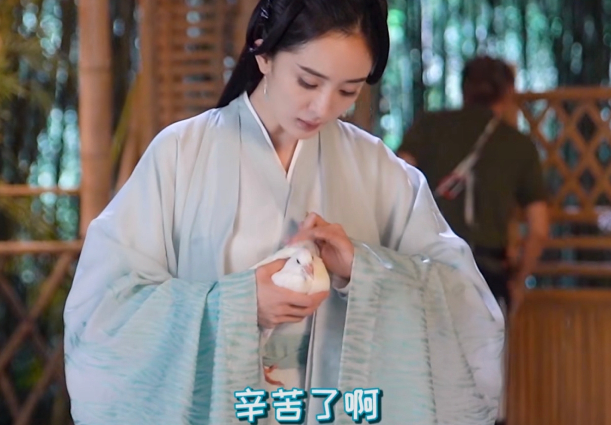 杨幂叫鸽子鸽们是什么梗？