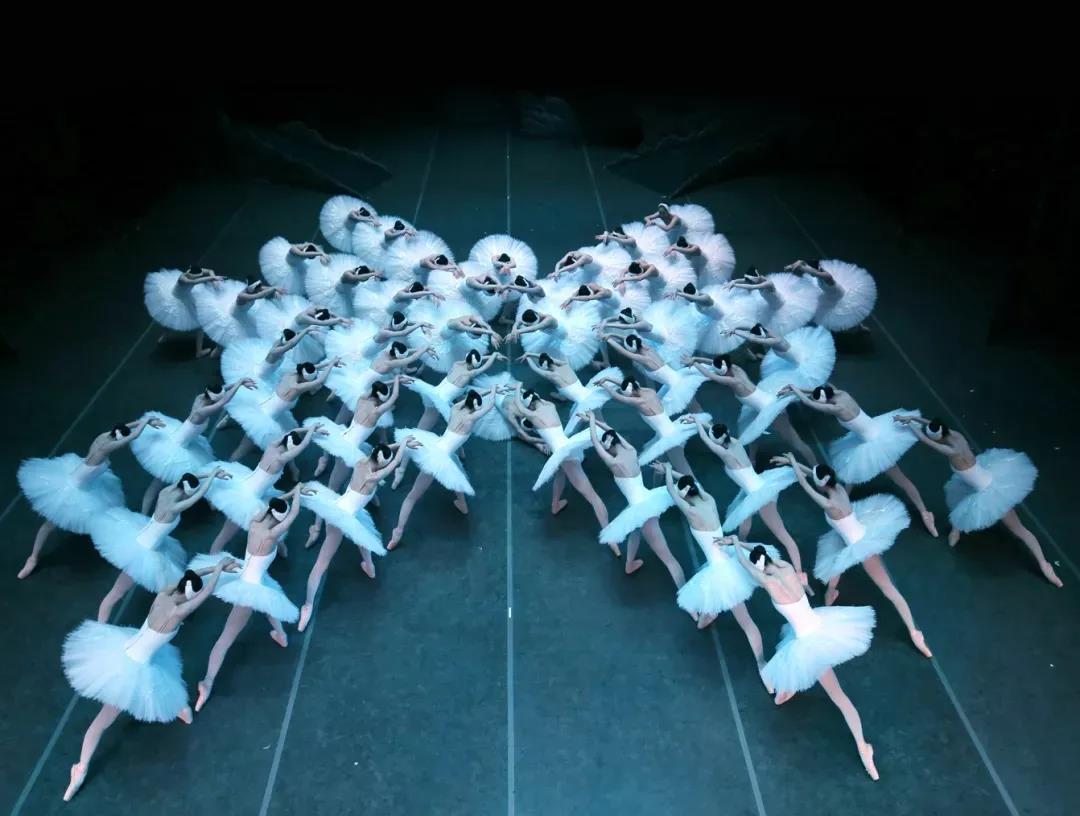 2022舞剧《天鹅湖》深圳站剧情简介+门票价格