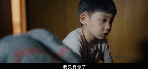 张子枫提名电影金鸡奖“最佳女主角”了吗?