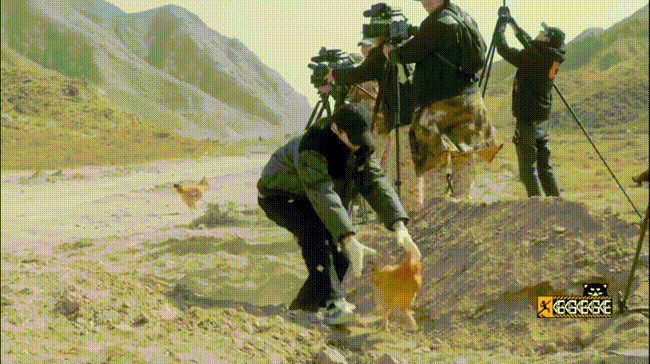 邓超在什么节目中教彭昱畅抓鸡？