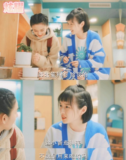为什么说沈争一、邵北笙好像有恋爱幼稚症？