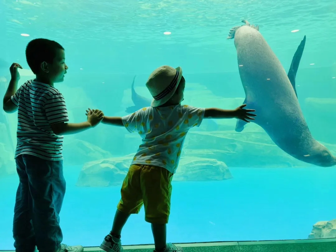 2022《海洋协奏曲》The Ocean-沉浸互动式宝宝音乐会-上海站 2022《海洋协奏曲》The Ocean-沉浸互动式宝宝音乐会-上海站