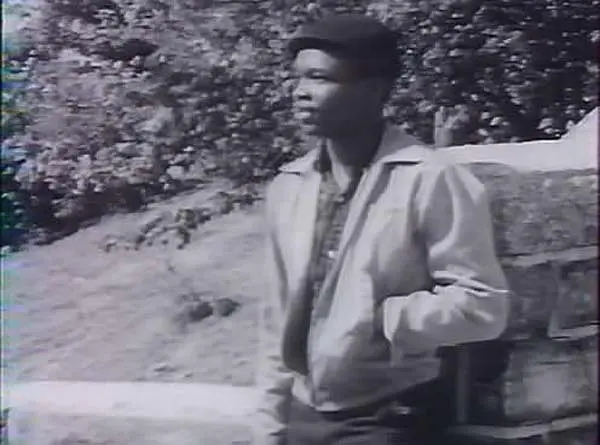 《冷酷的世界》：压力扭曲人性