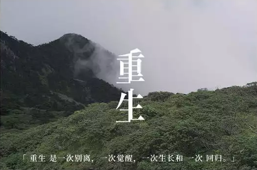 2021仙羽郑州演唱会演出安排及门票价格 2021仙羽郑州演唱会演出安排及门票价格