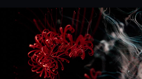 歌舞剧《彼岸花》上海站详情信息、门票购买