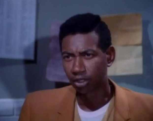 《斯维特拜克之歌》：手持家庭影像的创造性剪辑