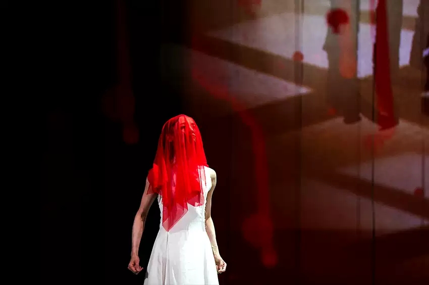 2021王亚彬导演作品 · 芭蕾舞剧《我的名字叫丁香》-上海站 2021王亚彬导演作品 · 芭蕾舞剧《我的名字叫丁香》-上海站