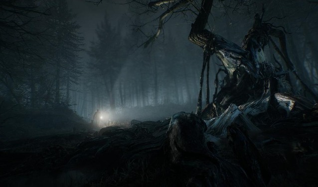 伪纪实恐怖片——《女巫布莱尔》