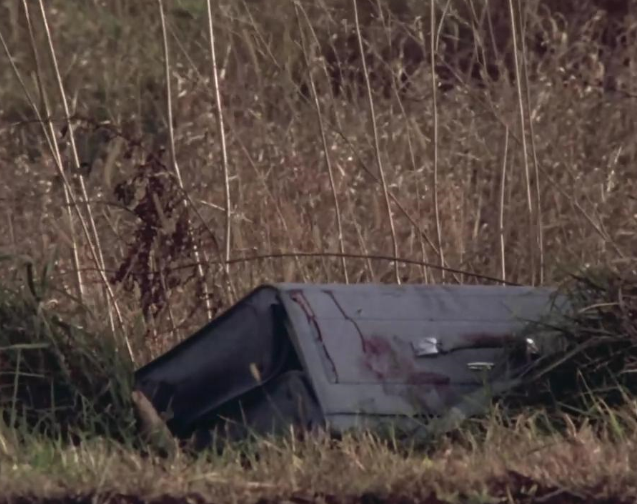 将摄影和剪辑艺术发挥到极致——《杀手的肖像》