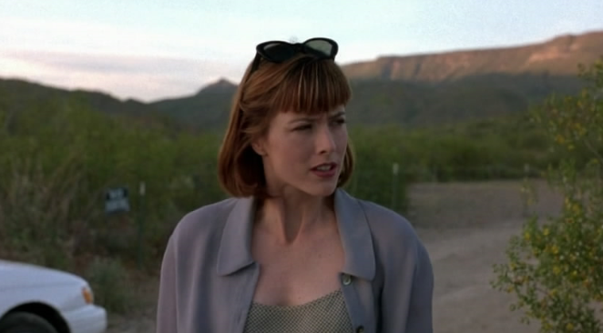 《与灾难调情》——解构传统家庭