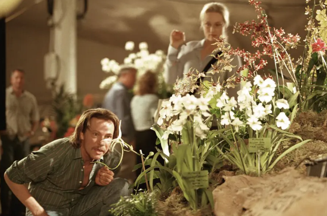 《改编剧本》：剧作家的幻想与烦恼