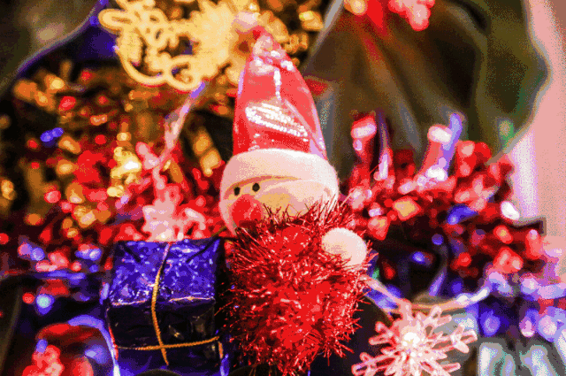 2021音乐会《梦幻圣诞之夜》上海站门票价格、时间、地点