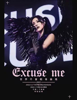 打扰一下乐团深圳演唱会