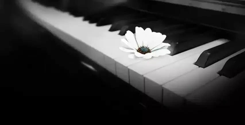 2022《海上钢琴师-向经典电影致敬主题音乐会》-北京站 2022《海上钢琴师-向经典电影致敬主题音乐会》-北京站