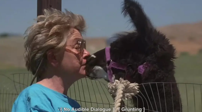 《大人物拿破仑》：怪小孩的故事