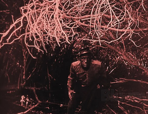 《一个国家的诞生》——100年前的史诗级大片