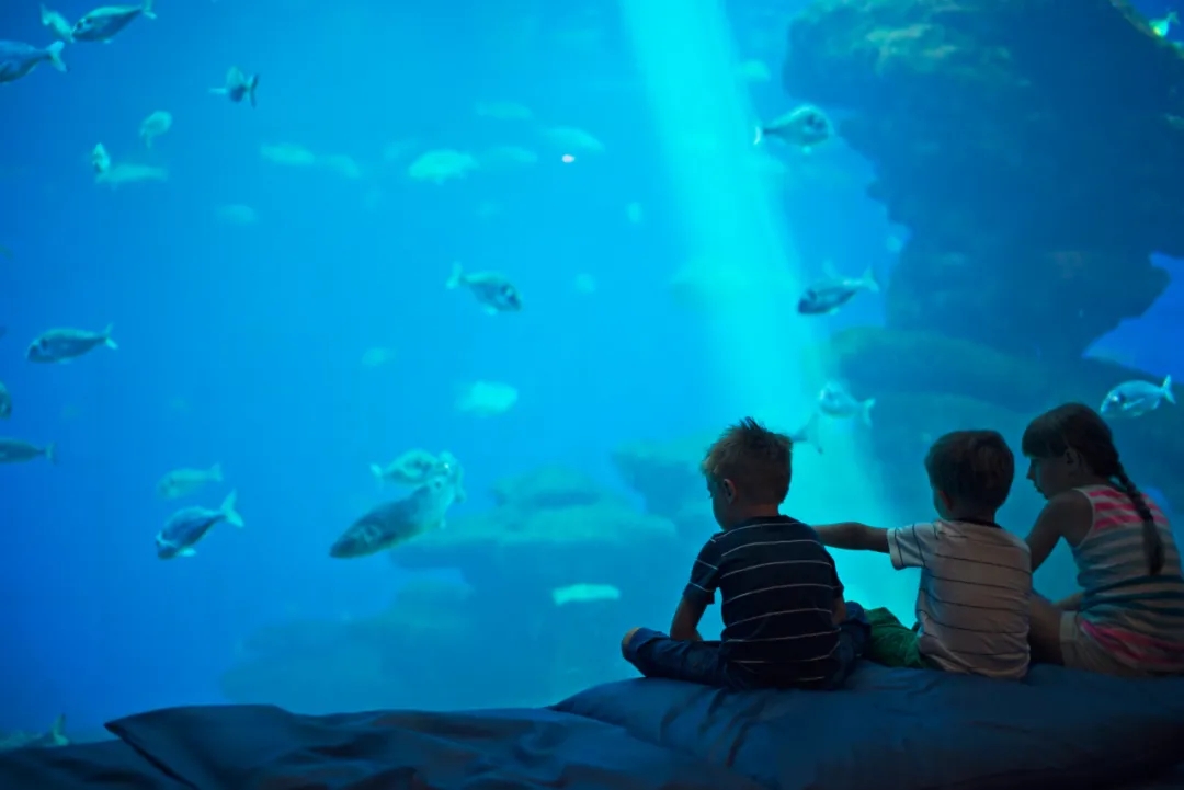 2022音乐会《海洋协奏曲》上海站时间安排+门票预约