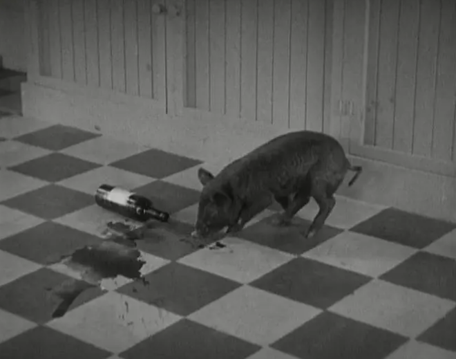 《日出》：一曲人性之歌