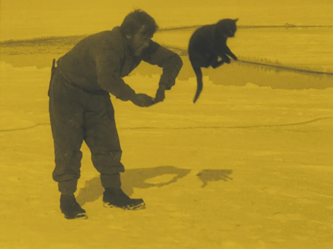 《伟大的白色寂静》：旅行探索未知的勇气