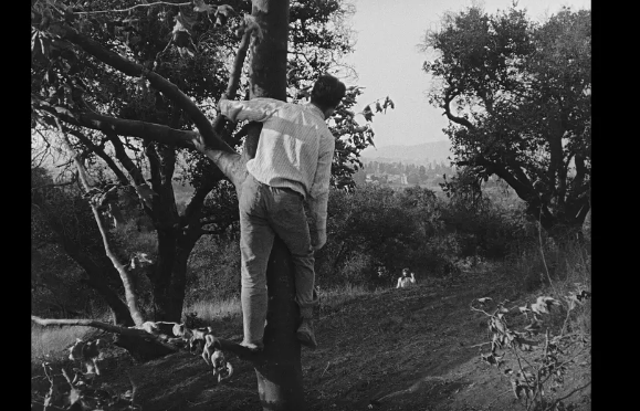 《小兄弟》：观赏性很强的喜剧作品