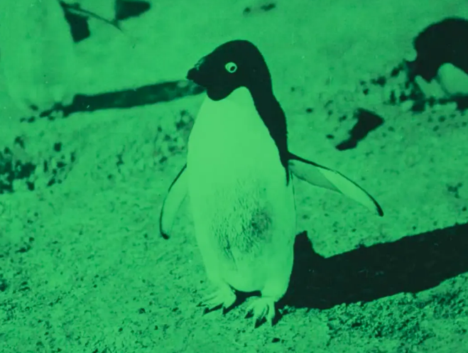 《伟大的白色寂静》：旅行探索未知的勇气