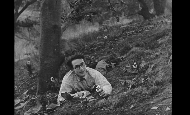 《小兄弟》：观赏性很强的喜剧作品