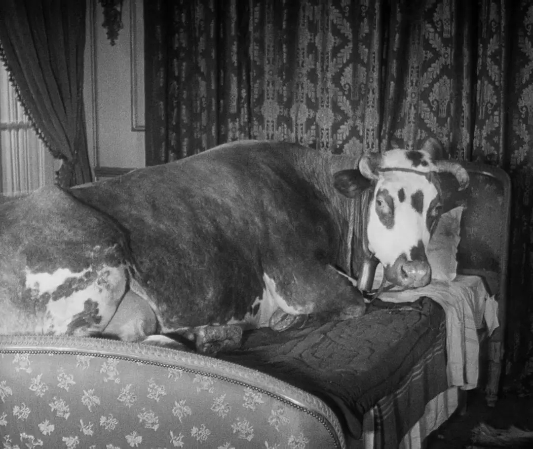 超现实主义的浪漫影片：《黄金时代》