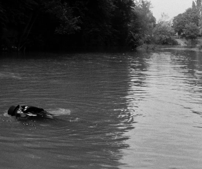 《布杜落水记》：一个随波逐流的时代