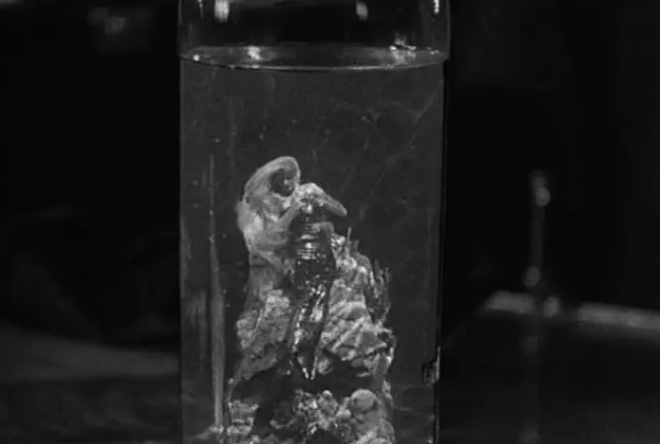 《弗兰肯斯坦的新娘》:经典黑白恐怖片 《弗兰肯斯坦的新娘》:经典黑白恐怖片