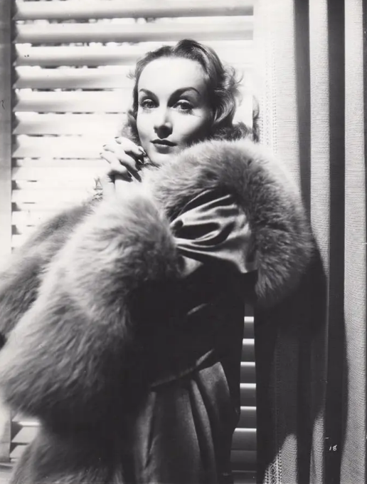 《我的高德弗里》:经典神经喜剧 《我的高德弗里》:经典神经喜剧