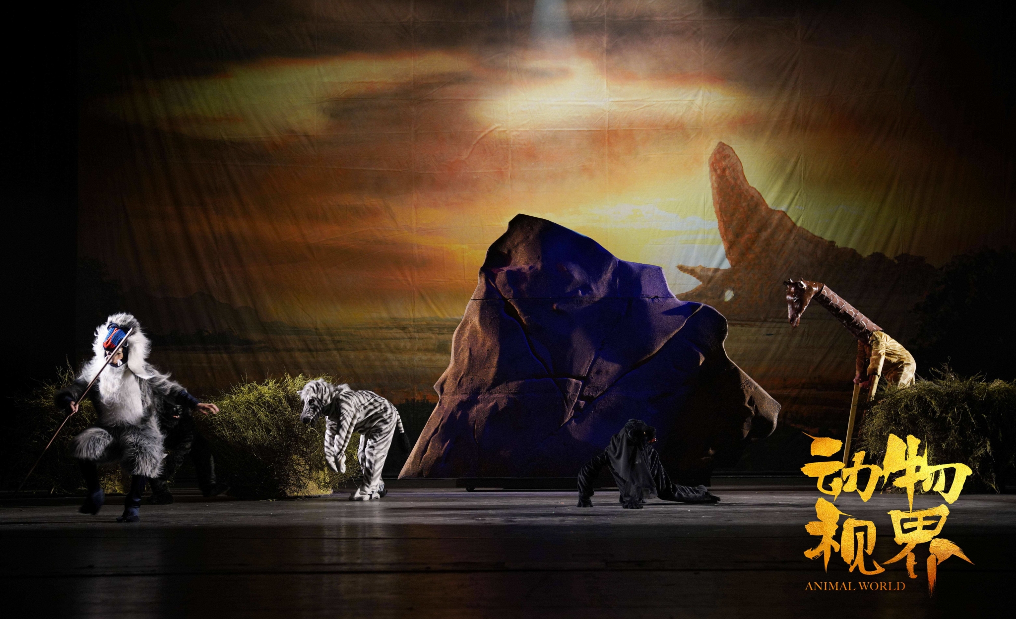 2022舞台剧《动物视界》衡水站时间+地点+门票价格