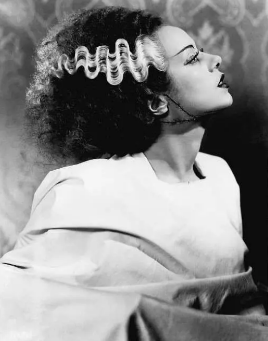 《弗兰肯斯坦的新娘》:经典黑白恐怖片 《弗兰肯斯坦的新娘》:经典黑白恐怖片