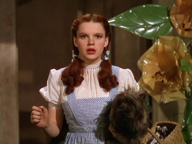 《绿野仙踪》：童心无限的寓言