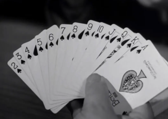 《辣手摧花》：隐晦又循序渐进的悬疑电影