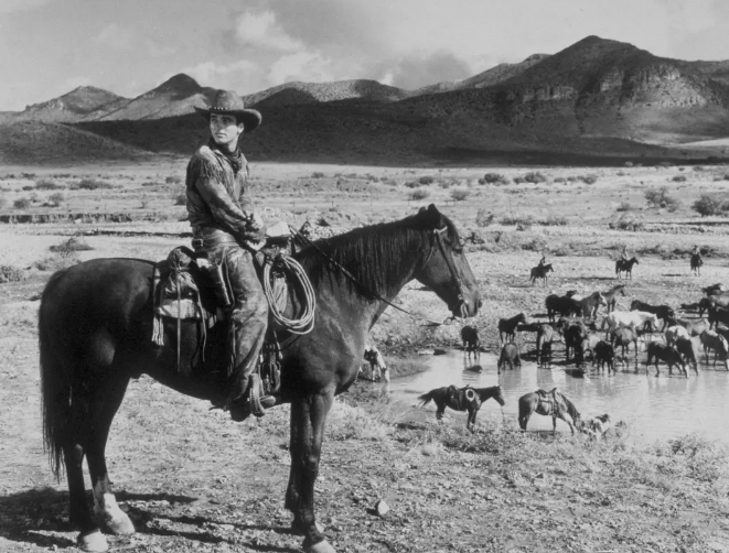 《红河》：十大经典西部电影之一